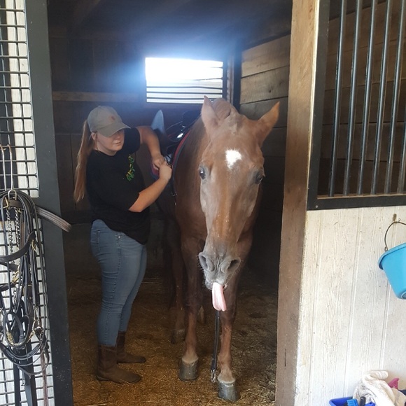 Meet your Posher, Haley - Picture 1 of 1